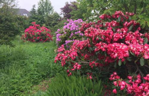 Home Comforts in Peaceful 2 Acres - Photo 18