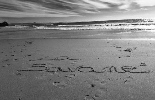 Appart AQUITANIA, PLAGE - Foto 15