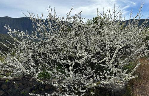 Casa Casilda - Foto 11