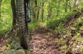 Apartment Barbara - Foto 18