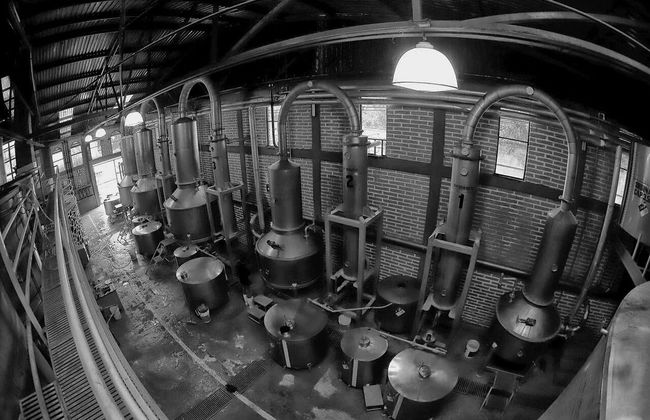 Horseback Riding in Tequila & Distillery Visit with Tasting - Photo 13