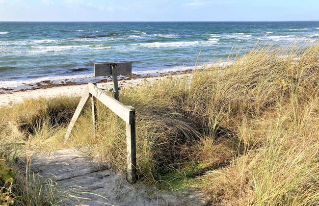 "Osa" - 150m from the sea - Foto 7