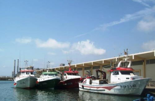 Beach apartment - Photo 50