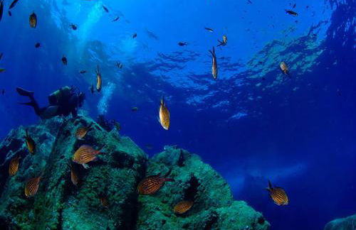 Grande Villa, Corse du Sud, Domaine privé de Cala Rossa - Foto 27