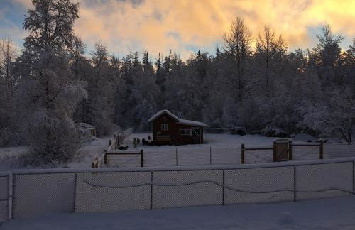 Cozy Palmer Retreat with Steam Sauna and Playground - Foto 54