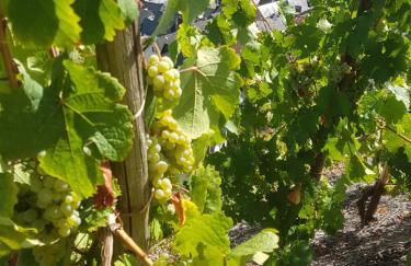 Ferienwohnung Julia - Foto 37