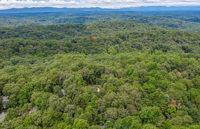 The Treehouse - Foto 53