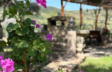 Bergerie de Charme Pedi Lione - Foto 12