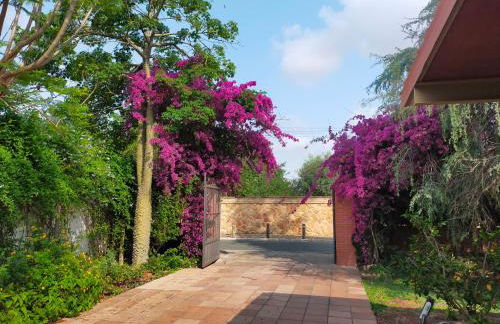 Precioso chalet próximo a Sevilla con jardín y piscina privada 8 personas Wifi gratis 2 salones 4 dormitorios 2 baños - Foto 7