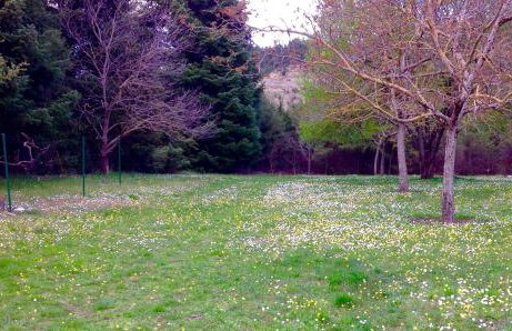 Marina's Stone Cottage - Foto 53