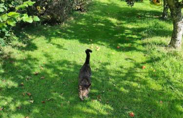 Cozy cottage at the base of Sale and Ling Fell - Foto 17