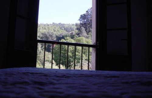 Casa en Viñoas (Ribeira Sacra) - Foto 11