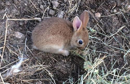 Agriturismo La Montina - Foto 41