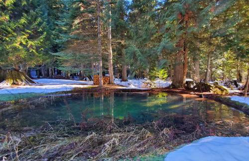 Ahrs Creek Retreat In the Timber - Foto 34