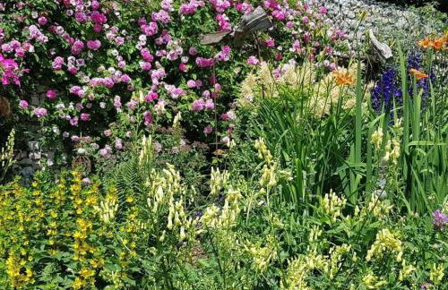 Frankenwaldhaus Comfortable Holiday Residence - Foto 43