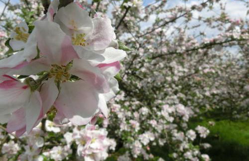 Ferienwohnung Zentrum Buxtehude - Photo 35