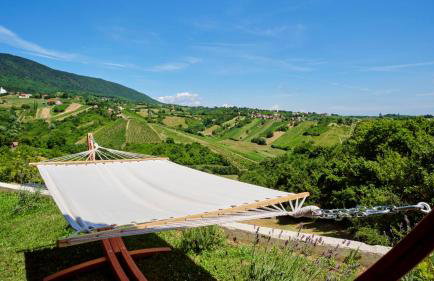 Villa Terra - Foto 11