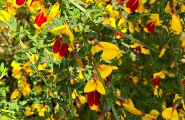 Hochwald Balkon - Foto 33