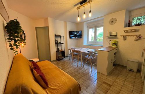 T3 confort à Ax - randos, ski et relaxation - Foto 1