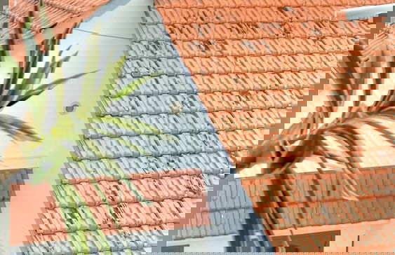 UNITE PREMIRE 1 - Foto 59