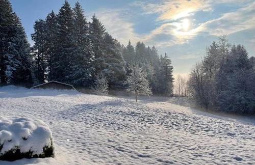 Häusle in der Tannenmühle - Foto 37