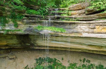 Pole Barn - Rustic 1BR Family Retreat with Open Views - Foto 69