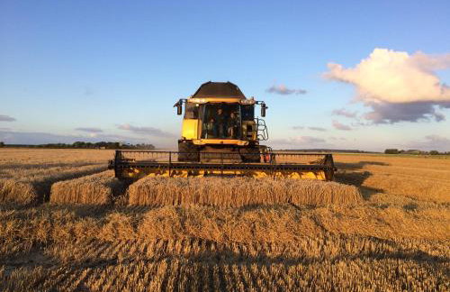 NORDSEE Bauernhof Familie Wulff FeWo "Südfall" - Foto 24