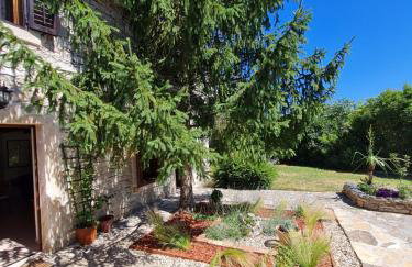 Stonehouse Ana with Jacuzzi Rovinj-Krmed - Foto 28