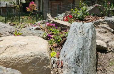 Maison du Soleil- CIR VDA Valtournenche n 0204 - Foto 17