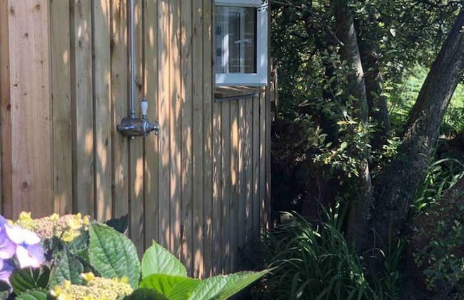 Beautiful 1-bed Cottage in Saint Agnes - Photo 15