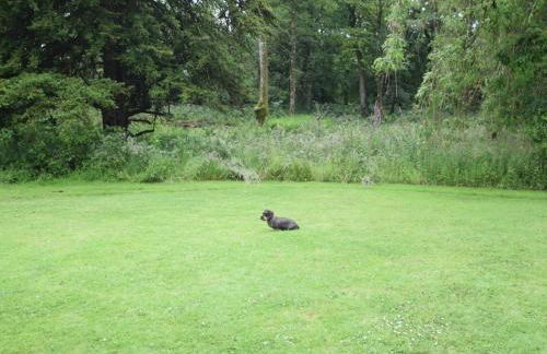 3 Bed in Annan oc-75355 - Foto 18