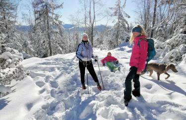 Strefa Ciszy -Lawenda - Foto 34