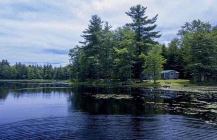 Pet-friendly, secluded, and peaceful pondside home near to Keene and Rindge NH - Foto 3