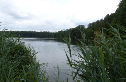 Jagdhaus Franz - Foto 5