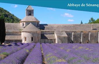 Les Bastidons de l'Isle - Le Seguret - 3 étoiles - Photo 17