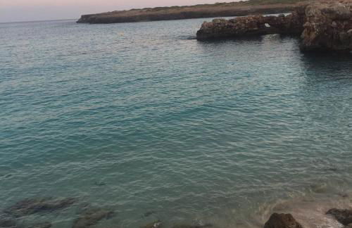 Fonoll Mari - Foto 54