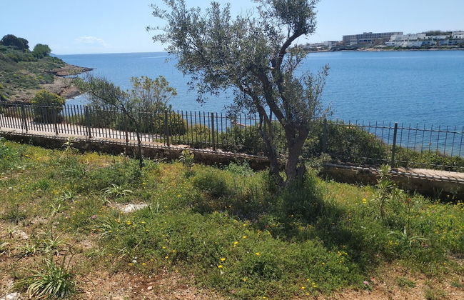 Beautiful Beach House At Sounio - Foto 16