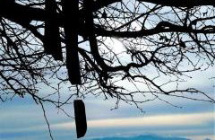 Davanti al Mare - Foto 38