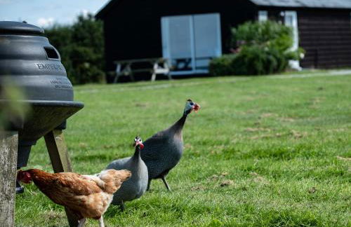 Atlantic Lodge - Photo 24