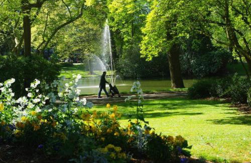 Appartement cosy jardin des plantes avec parking - Foto 16