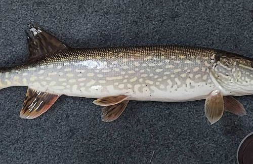 Lakefront Hideaway - Foto 2