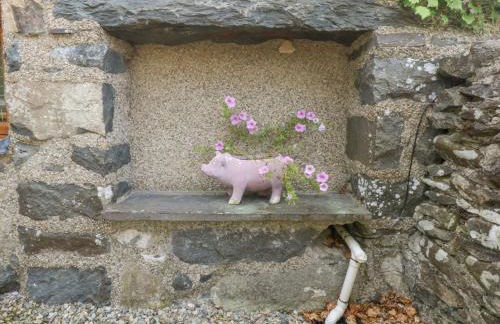 Cegin Foch - Photo 21