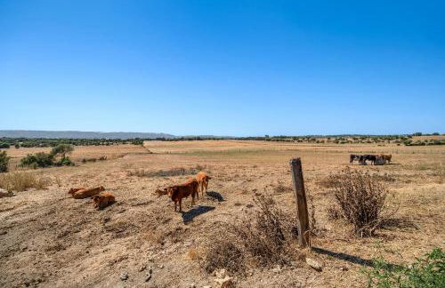 Casa Andrea - Foto 29