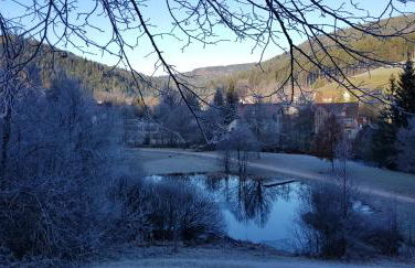 Ferienwohnung "Hirschlein" im Schwarzwald - Foto 41