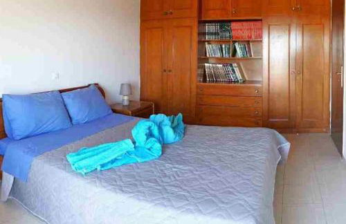 Irene's Apartment In Salakos - Foto 19