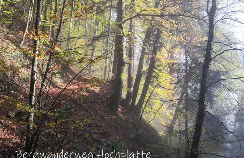 Beste Zeit Ferienwohnung - Foto 6