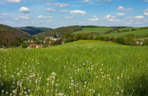 Apartment in Wutha-Farnroda 3178 - Foto 16