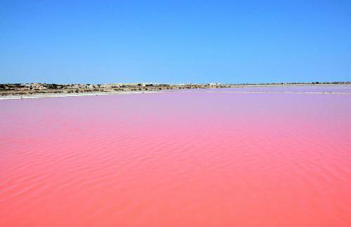 VILLA DU PIN - Foto 41