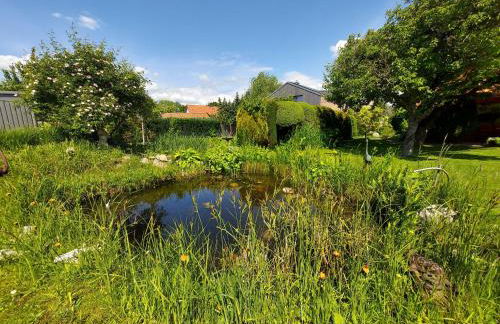 Gästehaus Burgdorf - Foto 24