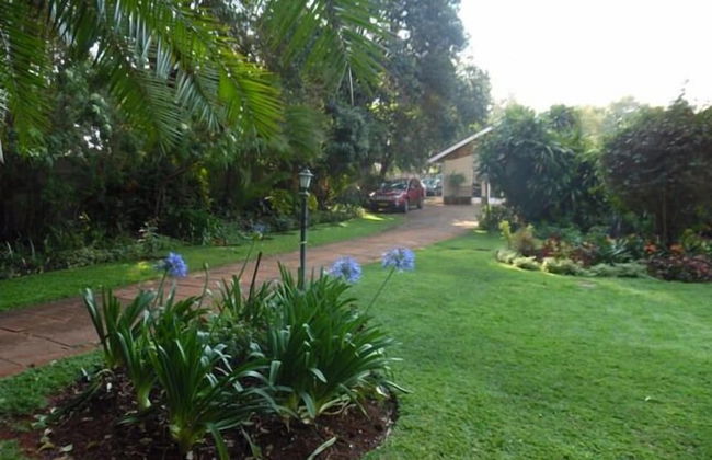 Greendale Dawnhill Cottage - Photo 9